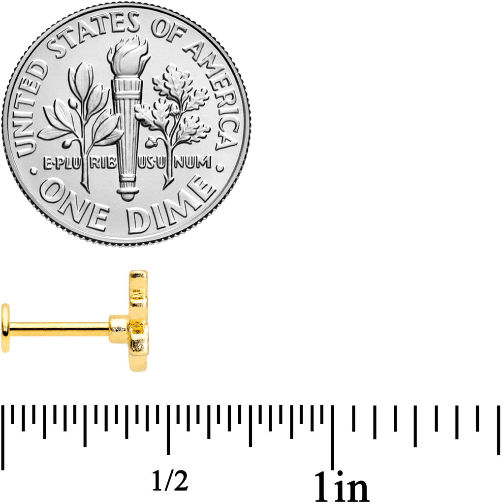 16G 5/16 Gold Tone Black White Bee Labret Monroe Tragus
