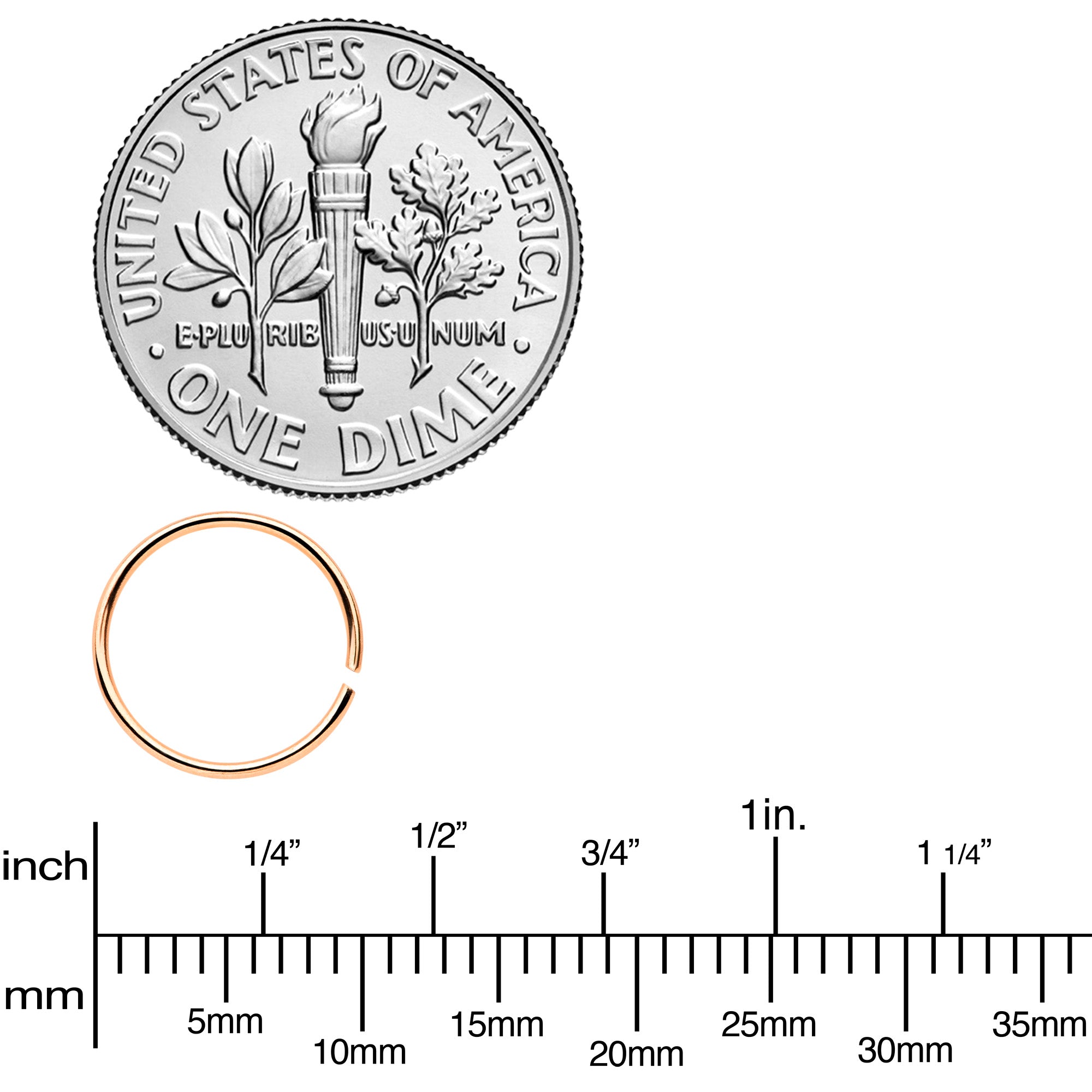 22G 5/16 Steel Rose Gold Tone Anodized Seamless Circular Ring Set of 12