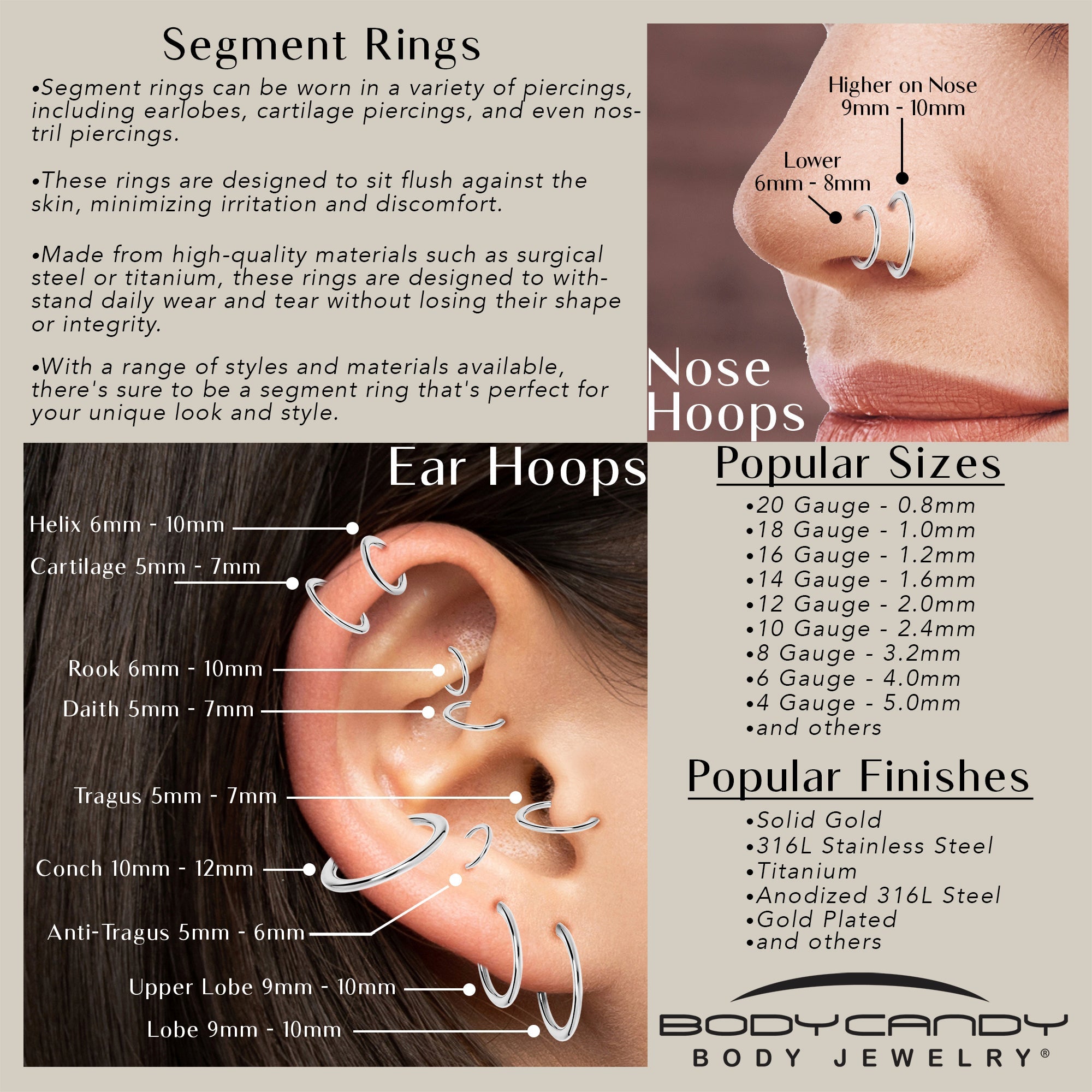 16G 13mm 316L Surgical Steel Precision Hinged Segment Hoop