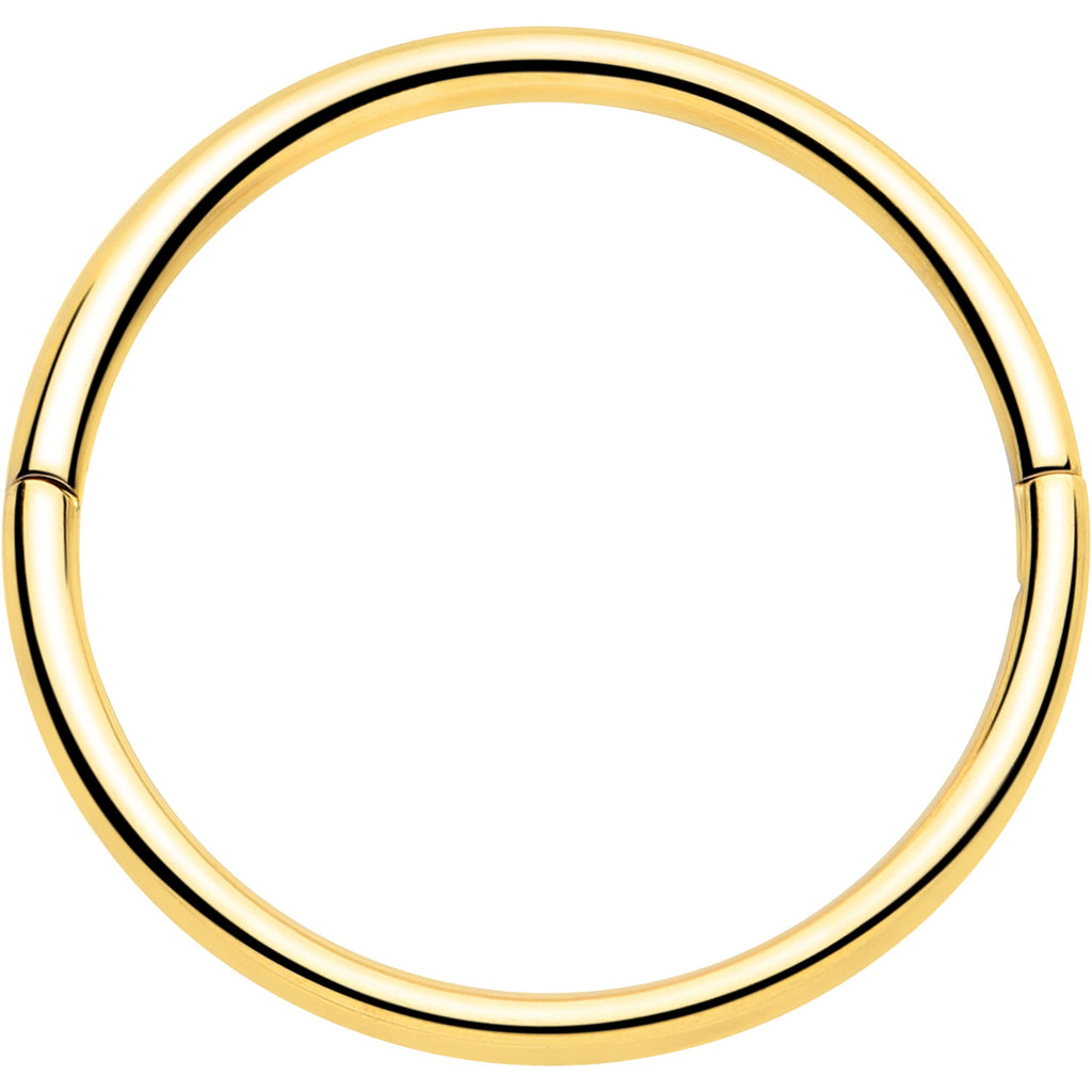 20G Implant Grade Titanium Half Closure Hinged Segment Ring