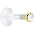Solid 14K Yellow Gold 2mm Genuine Rainbow Moonstone Bioplast Push in Monroe